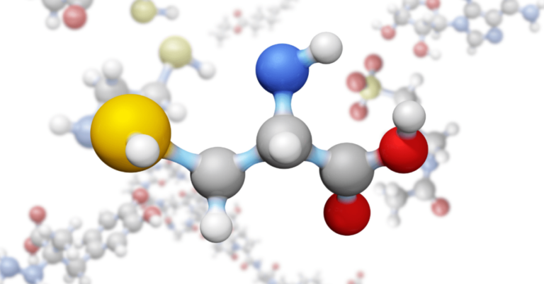 do amino acids help you lose weight