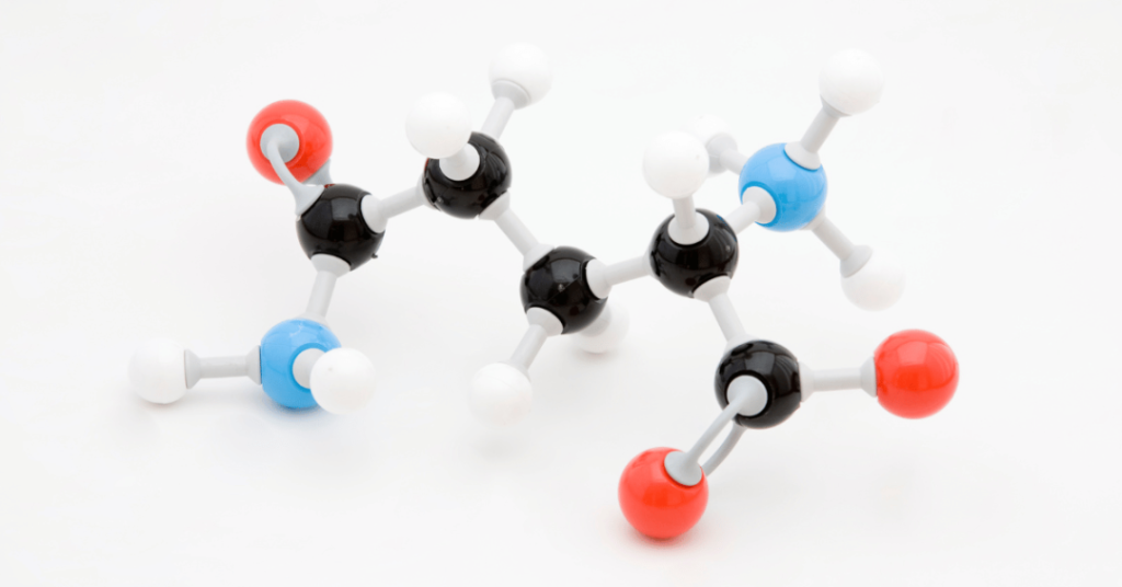 Glutamine supplements for weight loss 2